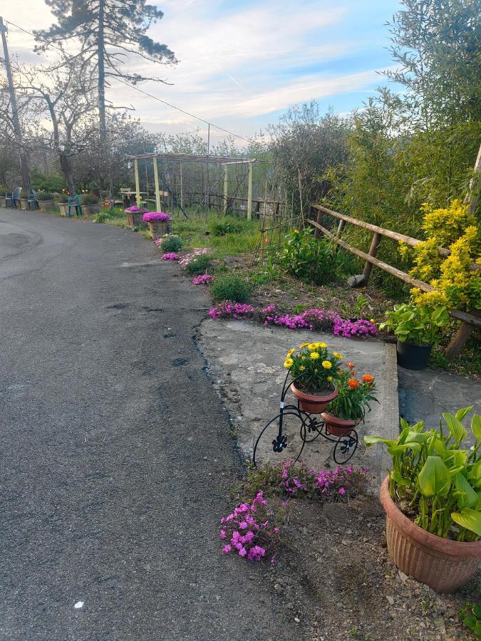 La Valle Fiorita Soviore ภายนอก รูปภาพ