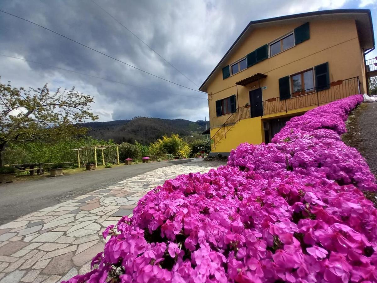 La Valle Fiorita Soviore ภายนอก รูปภาพ