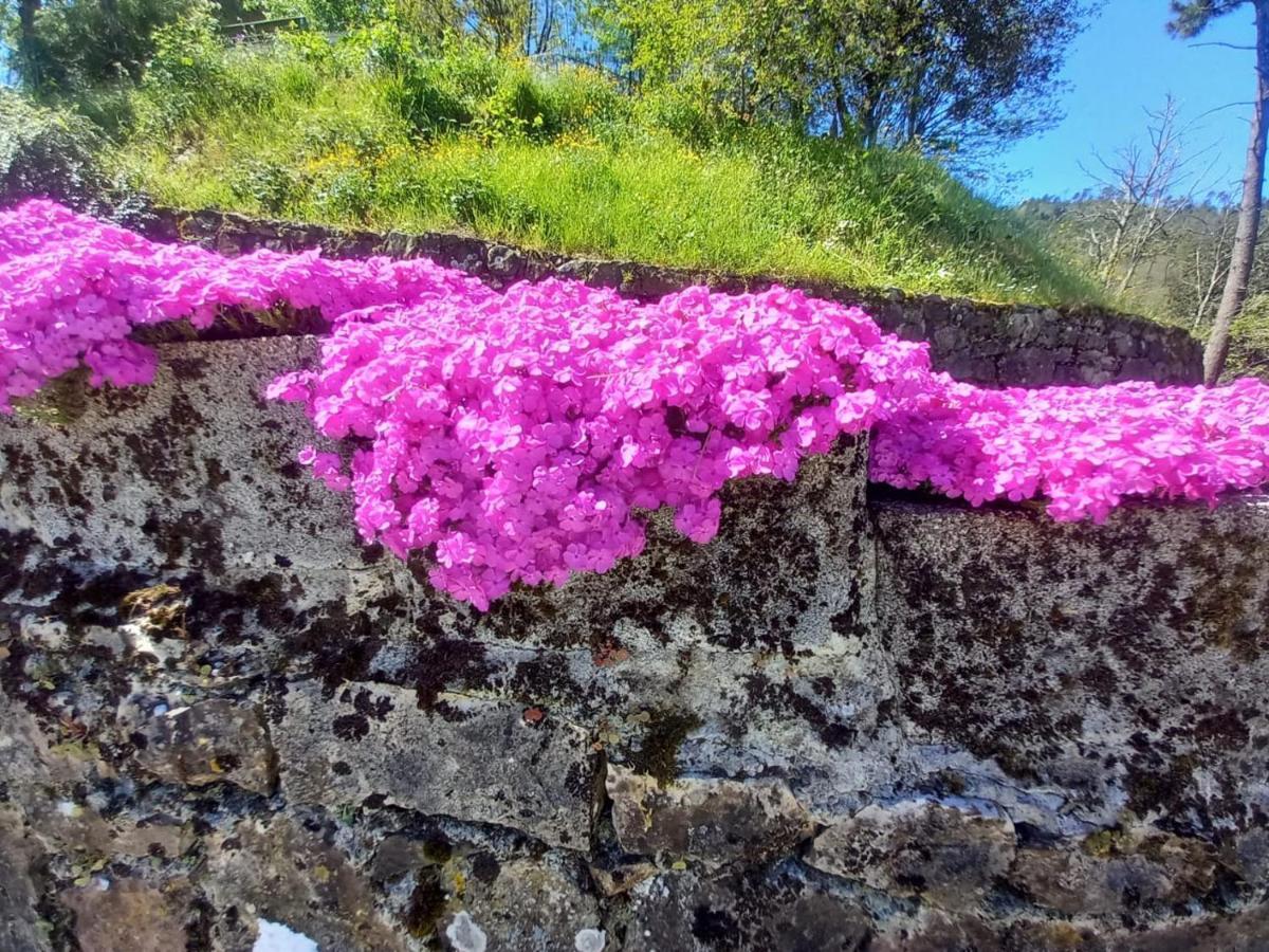 La Valle Fiorita Soviore ภายนอก รูปภาพ