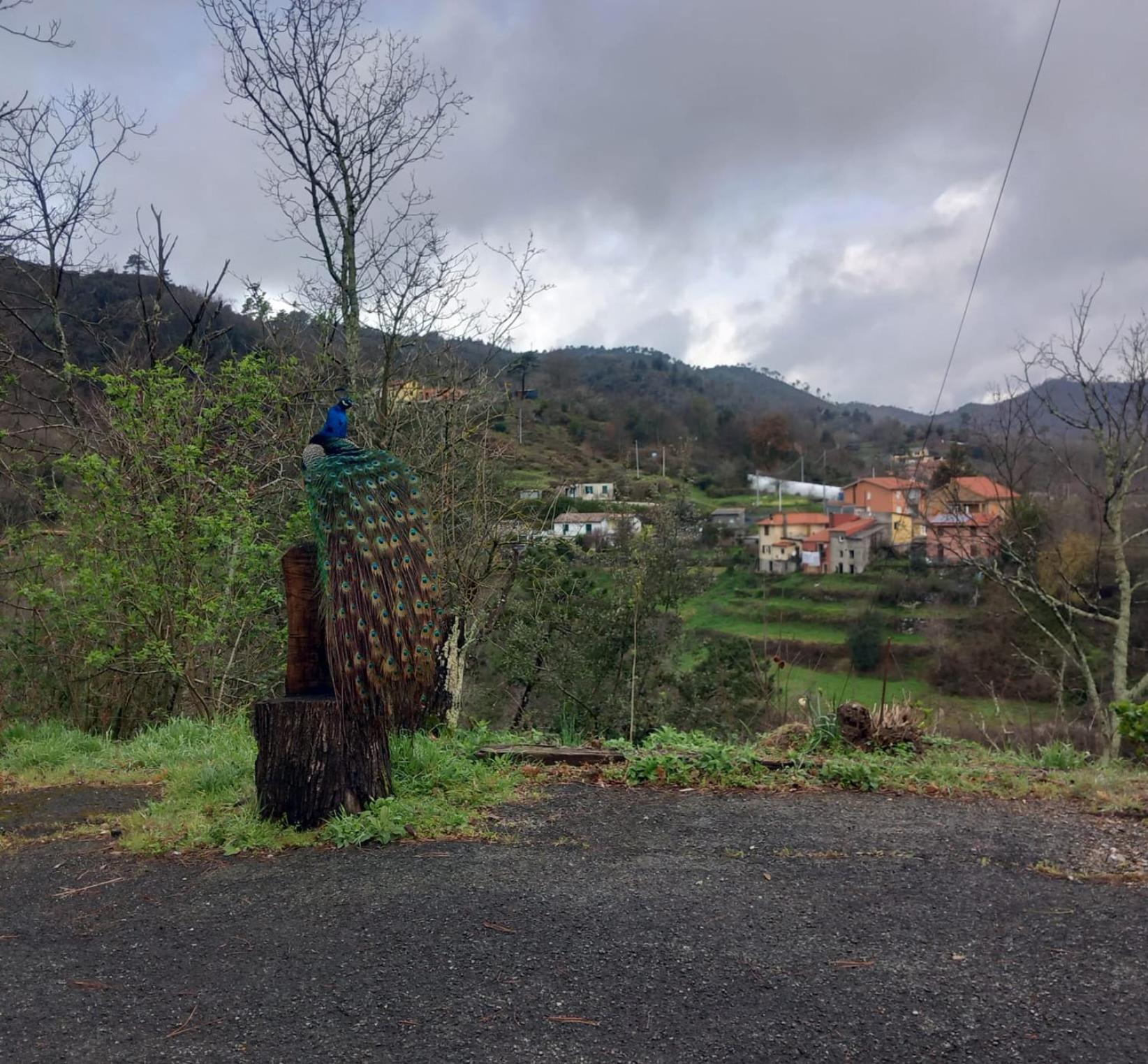 La Valle Fiorita Soviore ภายนอก รูปภาพ