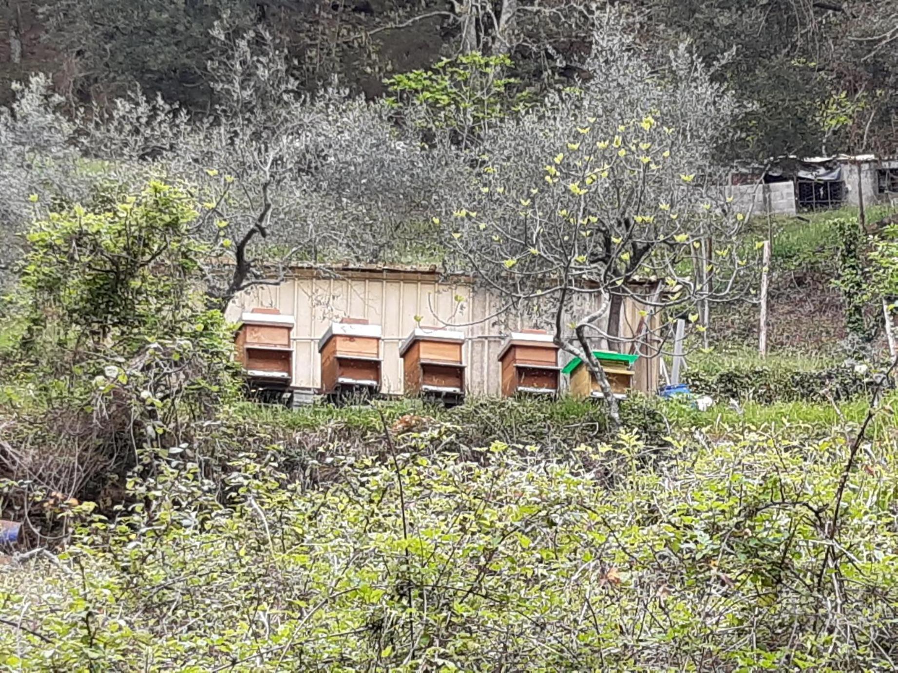 La Valle Fiorita Soviore ภายนอก รูปภาพ